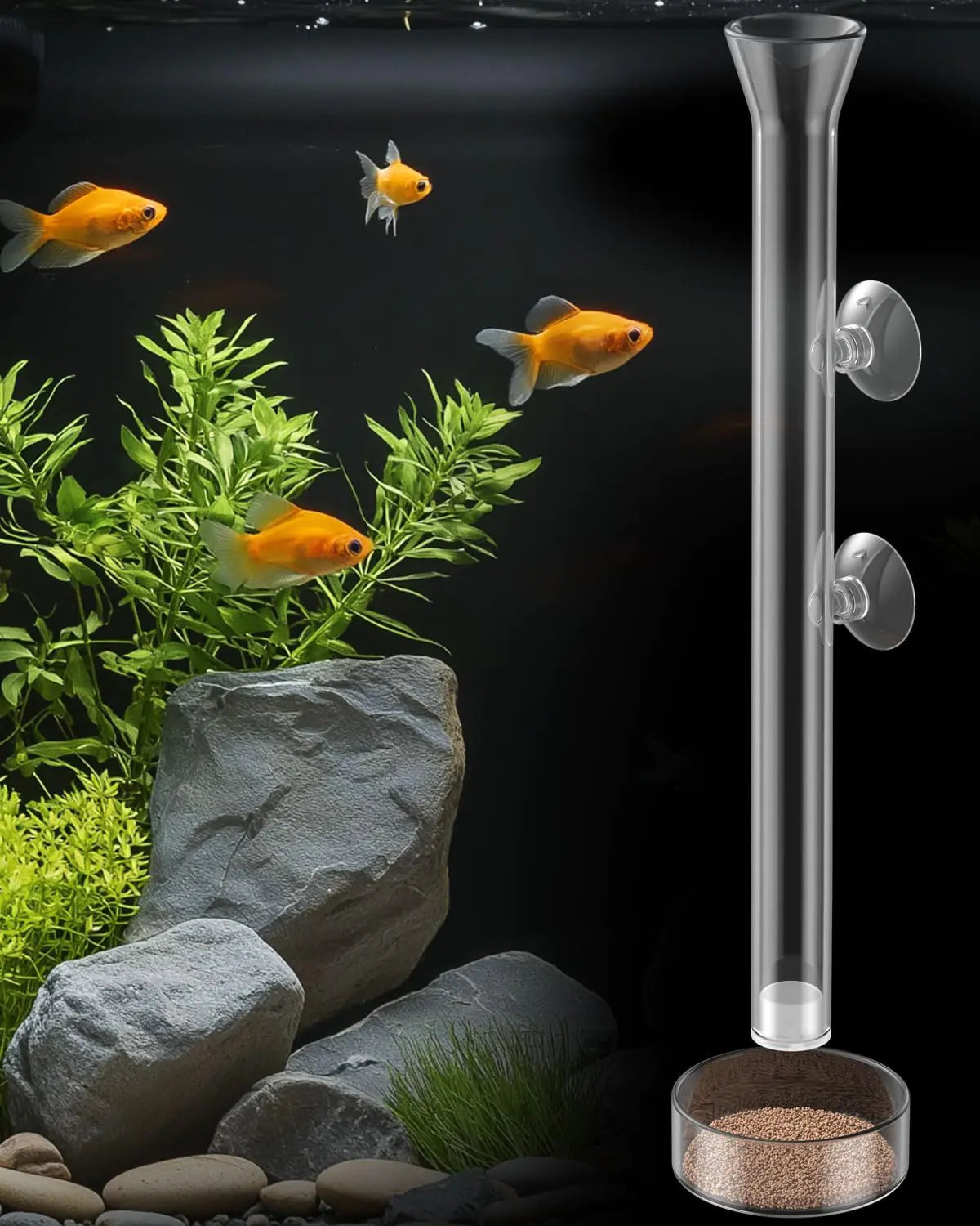 Pawfly Aquarium