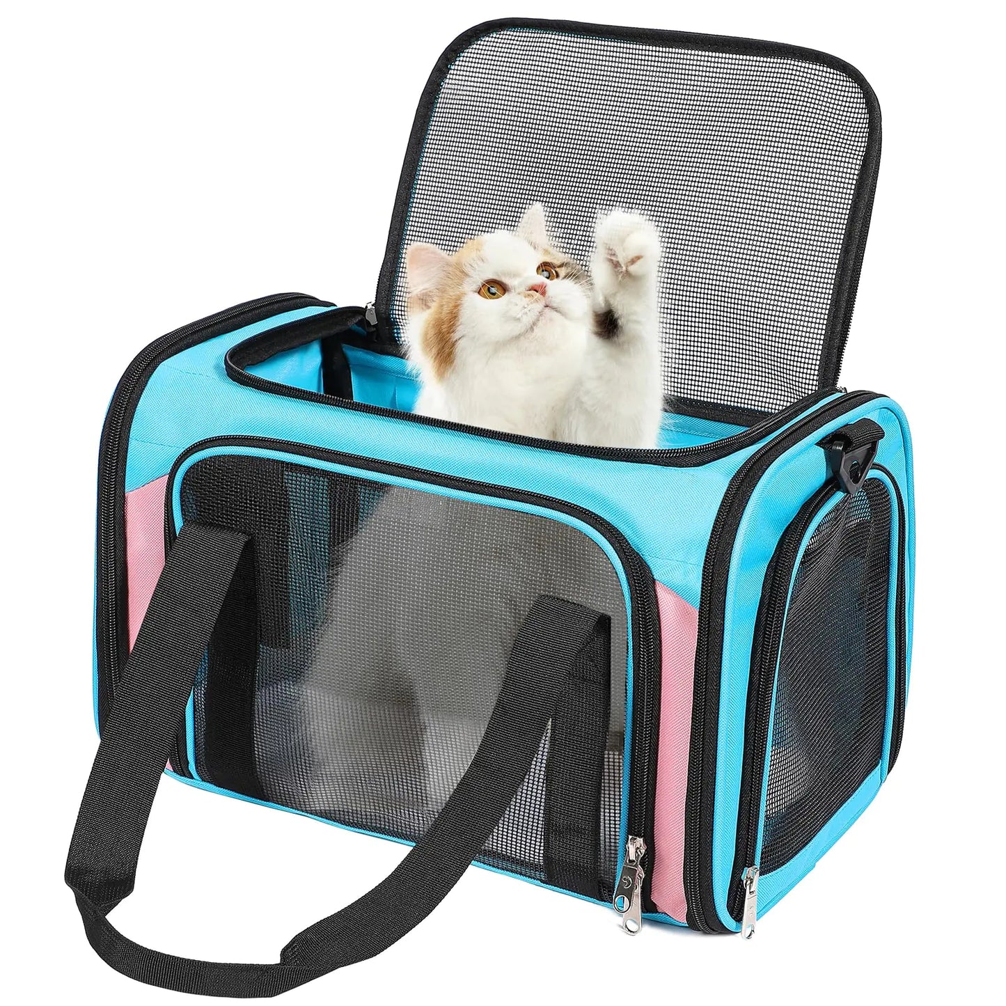 Discala Cat Dog Carrier Up to 15 Lbs TSA Airline Approved Pet Carrier for Small Medium Cats Puppies Dog Carriers for Small Dogs Collapsible Soft Sided Cat Travel Carrier - Blue&Pink 17"x11"x11"