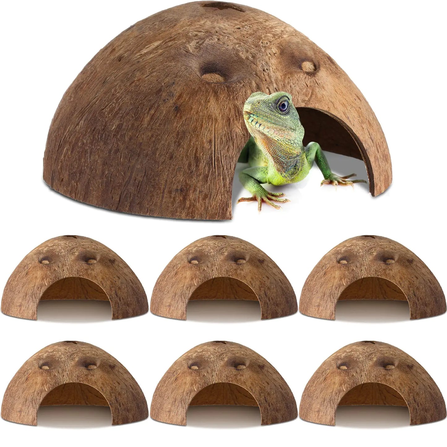 6 Pcs Coconut Shell Reptile Hideouts Hut Reptile Hides and Caves Coconut Hide for Reptile Small Animal Hide Cave Hut for Leopard Gecko Snake Aquarium Fish Lizard Hermit Crab Supplies House Accessories